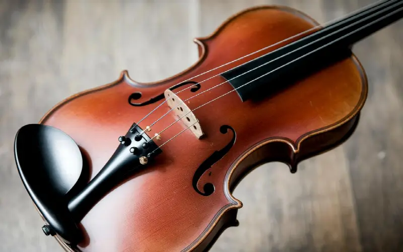 Ce violon à 20€ déniché en brocante vaut une fortune