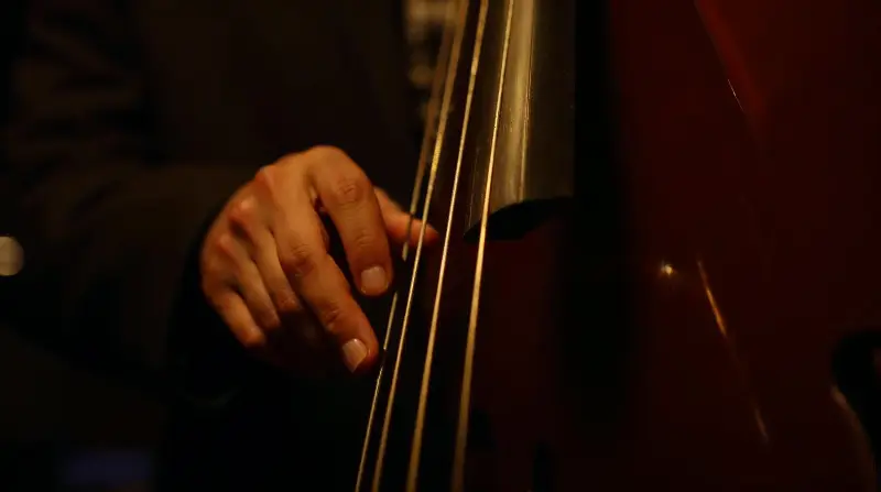 Main droite d'un contrebassiste qui pince les cordes d'une contrebasse sur une scène de jazz