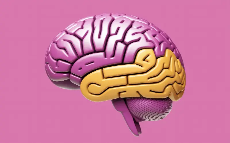 Manipulation auditive : comment la musique des magasins influence votre cerveau