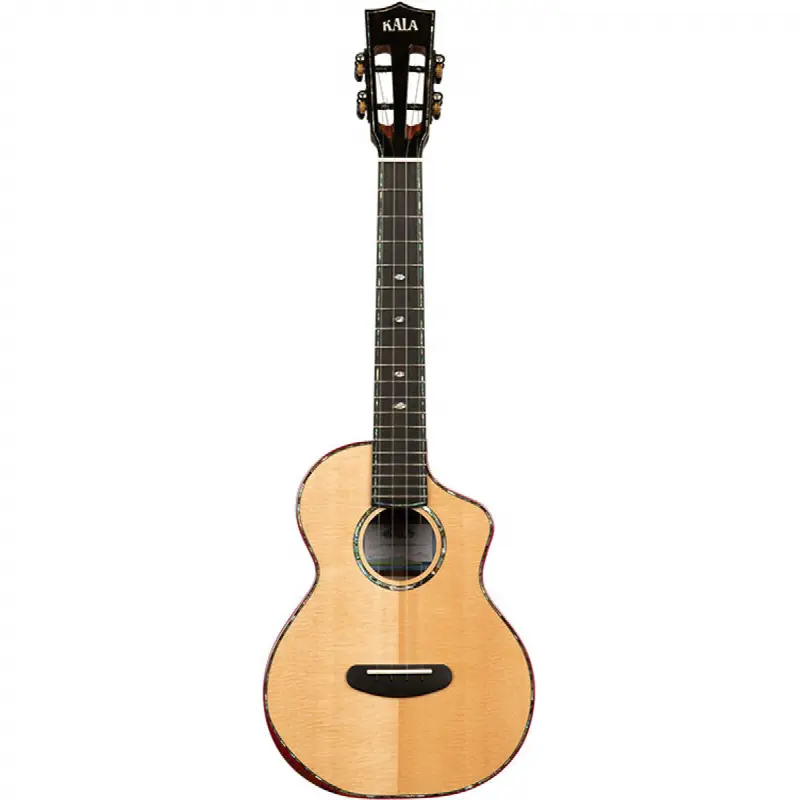 Contour Deluxe All Solid Gloss Spruce Rosewood Tenor CW + housse