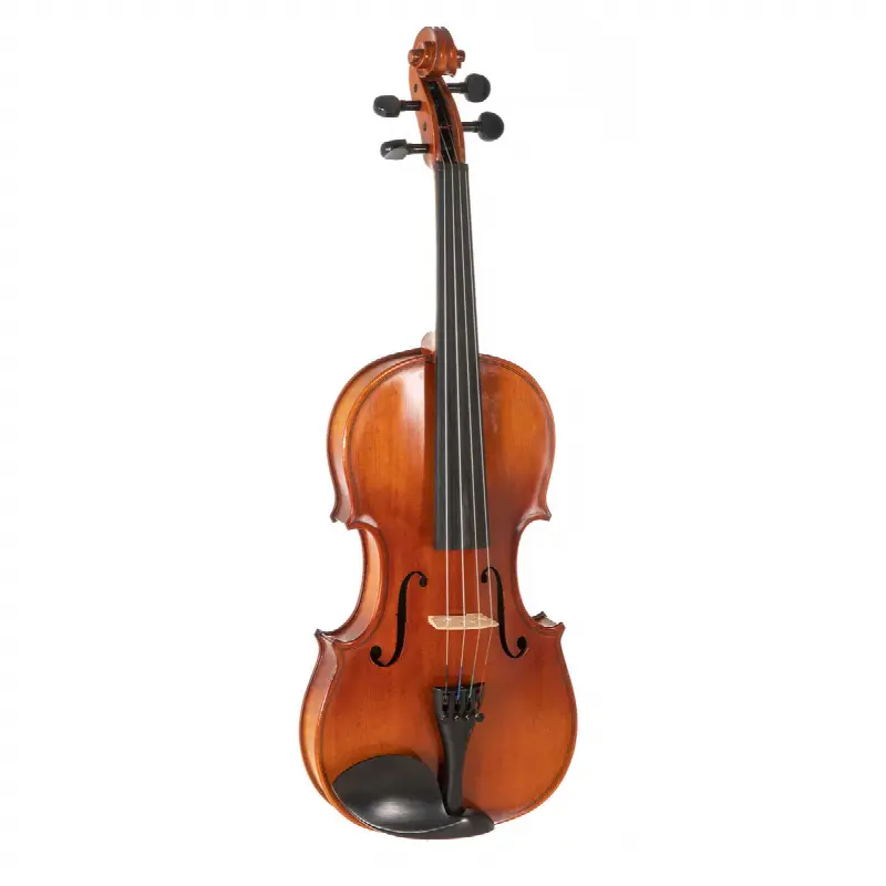 Pure Ew Violon 4/4