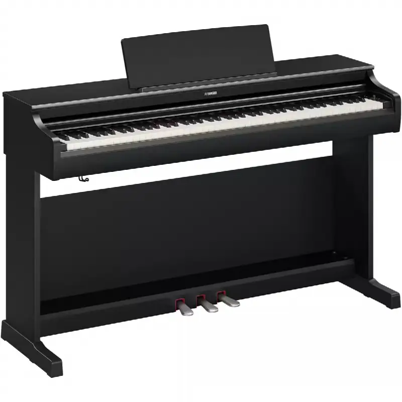 YDP-166 Noir