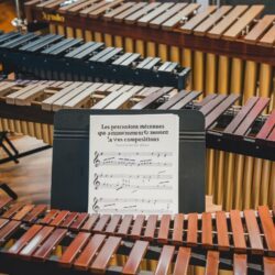 Les percussions méconnues qui ajoutent une touche magique à vos compositions