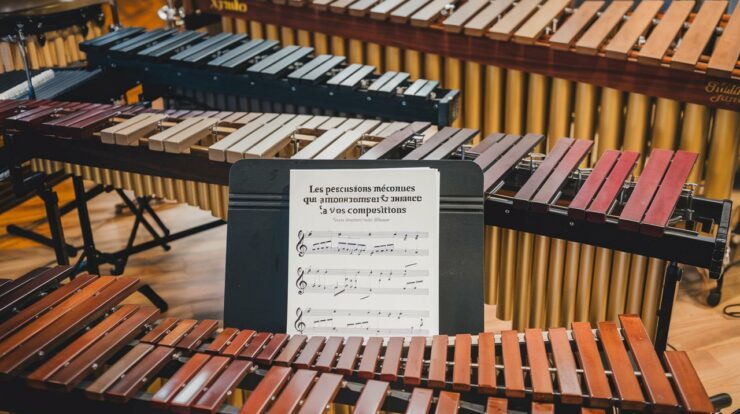 Les percussions méconnues qui ajoutent une touche magique à vos compositions