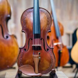 Pourquoi les violons anciens valent-ils des millions ? Le mystère enfin dévoilé !