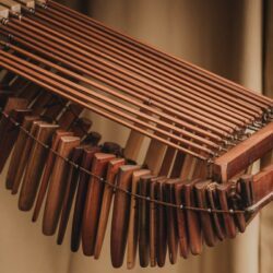 Le Balafon : L’instrument magique qui rendrait Mozart jaloux !